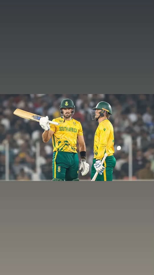 South Africa vs New Zealand